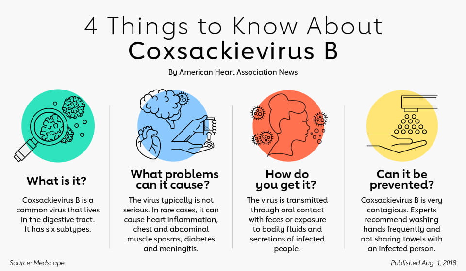Infographic: 4 Things to Know About Coxsackievirus B