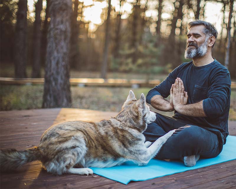 a mature man meditating in the woods next to his dog